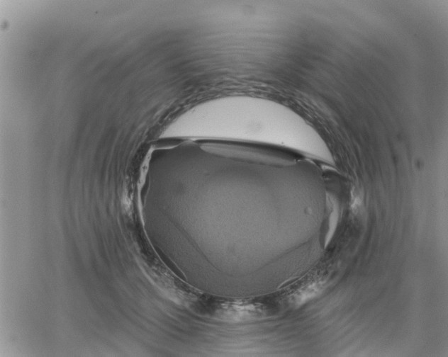 X0000064740607200602171709