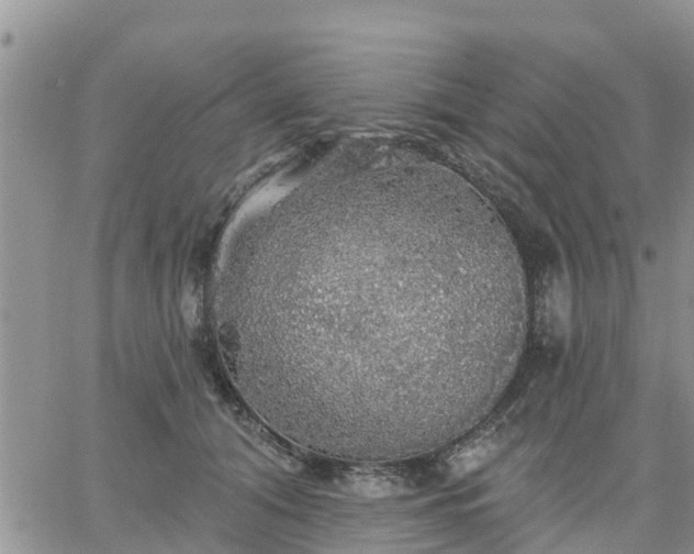 X0000064740608200602171709