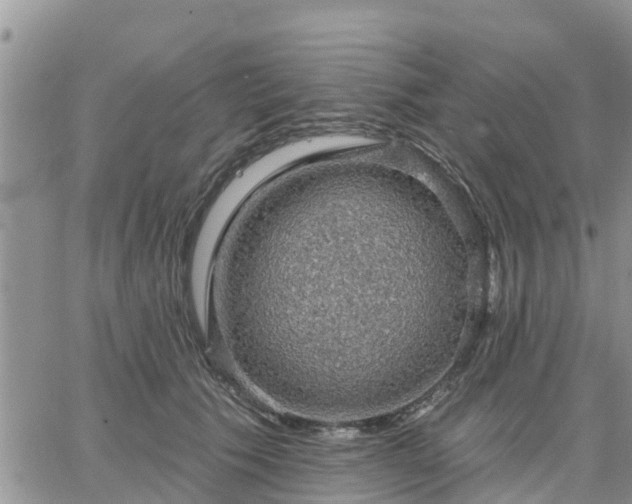 X0000064740609200602171709