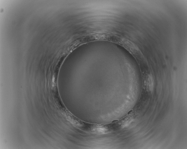 X0000064740610200602171709