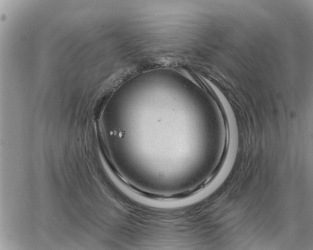 X0000064740611200602171709