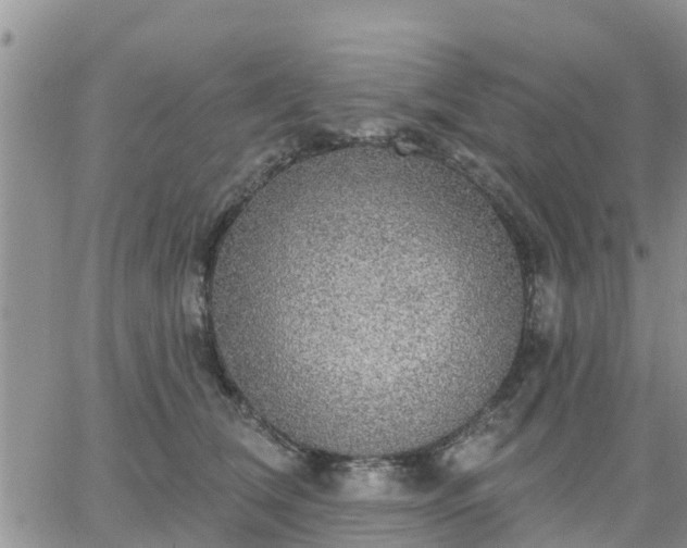 X0000064740612200602171709