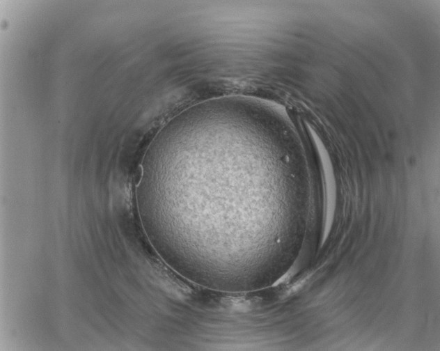 X0000064740613200602171709