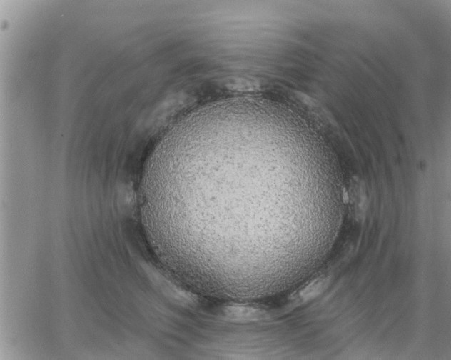 X0000064740614200602171709