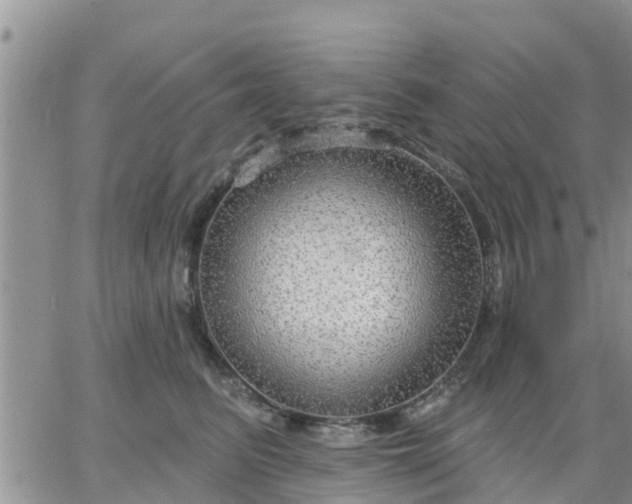 X0000064740615200602171709