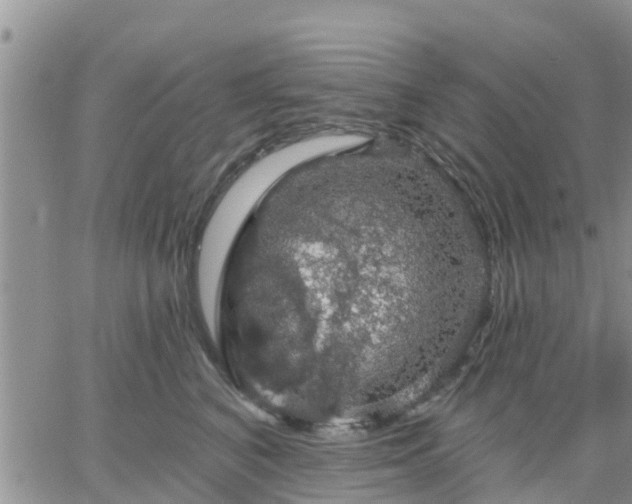 X0000064740616200602171709