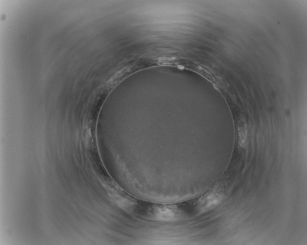 X0000064740618200602171709