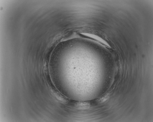 X0000064740619200602171709