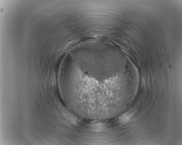 X0000064740620200602171709