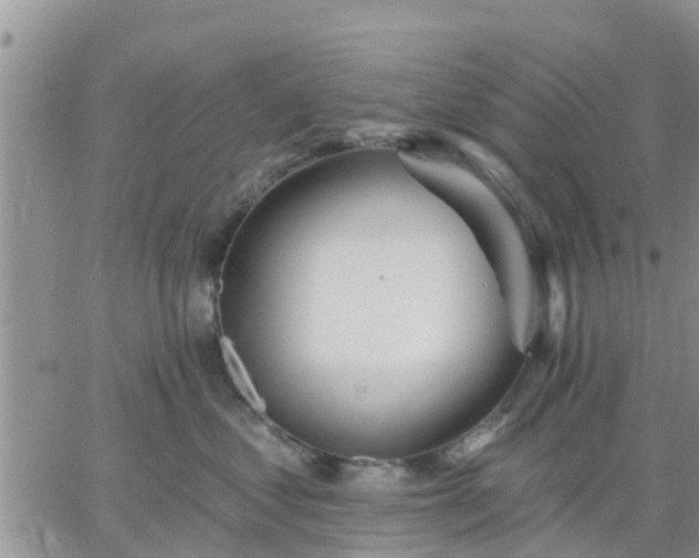 X0000064740621200602171709