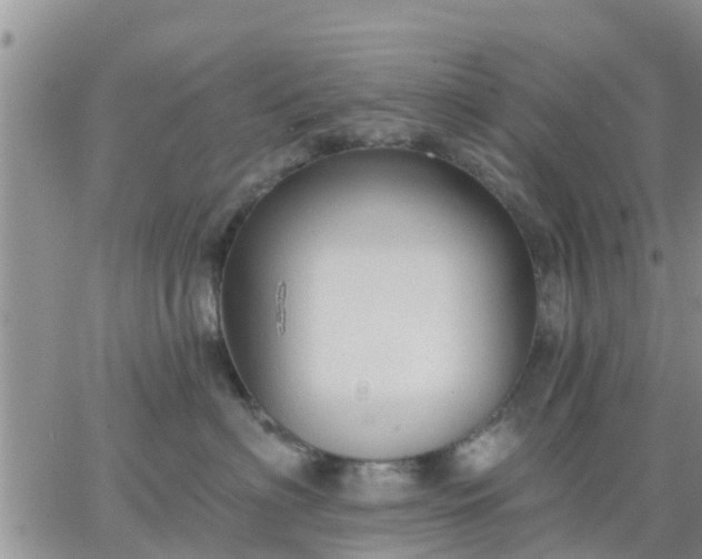 X0000064740622200602171709