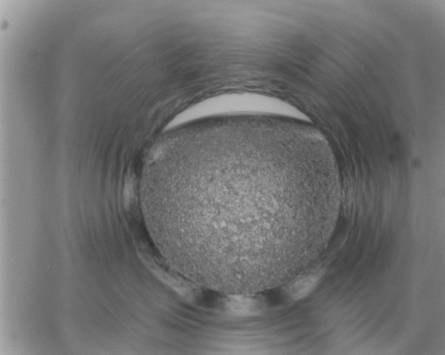 X0000064740623200602171709