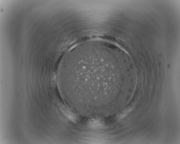 X0000064740624200602171709