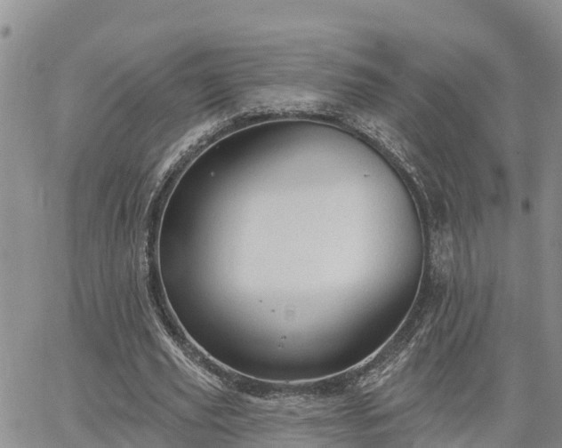 X0000064740629200602171708