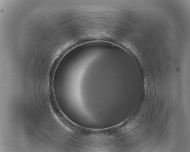 X0000064740630200602171708