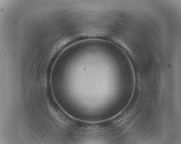 X0000064740631200602171708