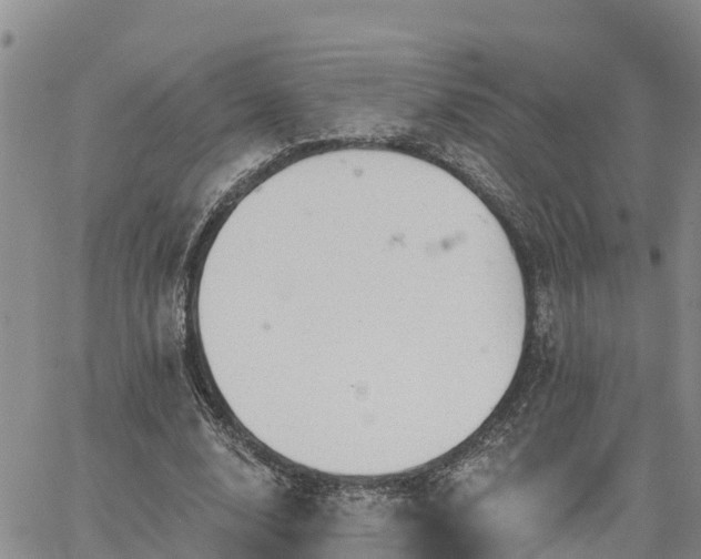 X0000064740632200602171708