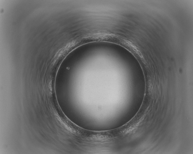 X0000064740633200602171708