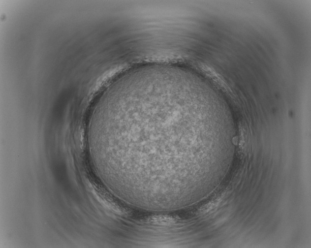 X0000064740636200602171708