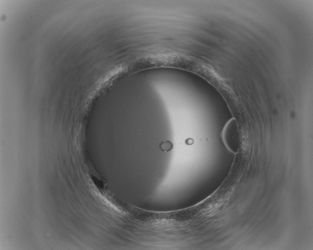 X0000064740637200602171708