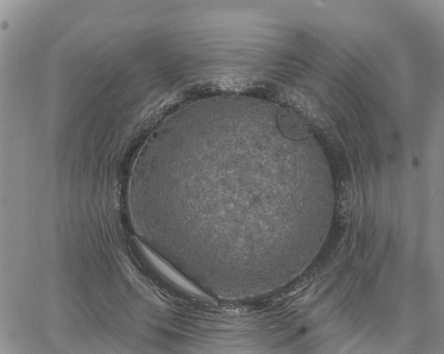 X0000064740639200602171708