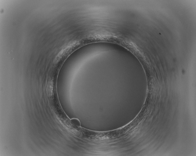 X0000064740640200602171708