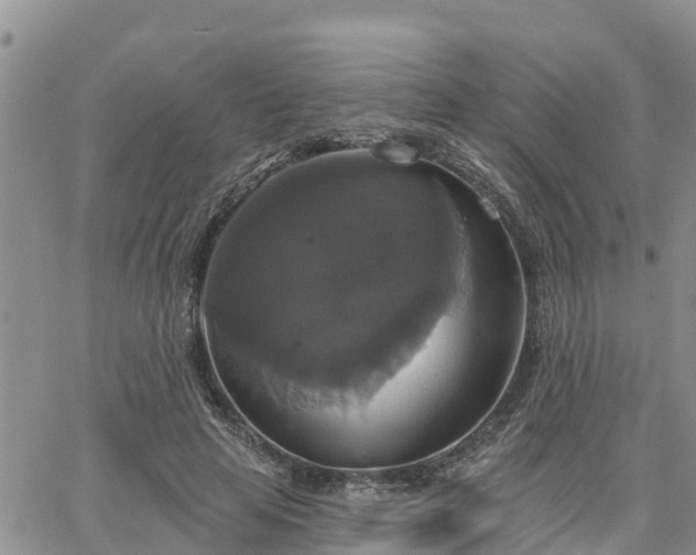 X0000064740641200602171708