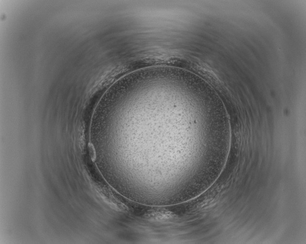 X0000064740642200602171708