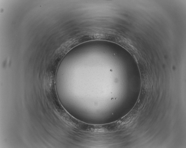 X0000064740645200602171708