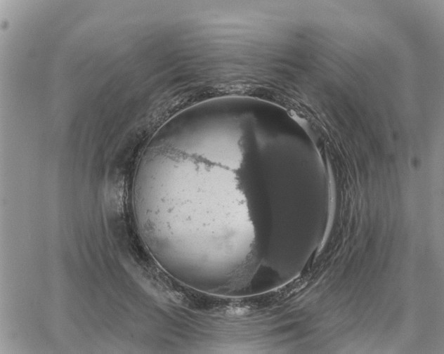 X0000064740647200602171708