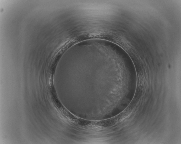 X0000064740648200602171708