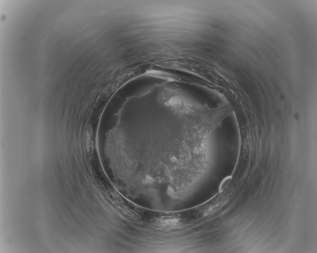 X0000064740651200602171708