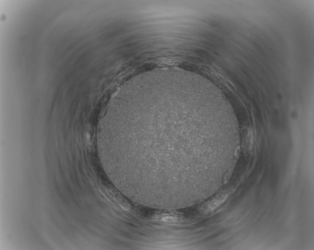 X0000064740655200602171708