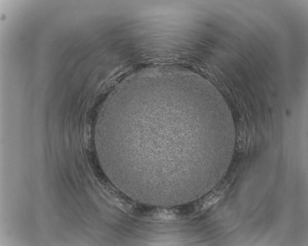 X0000064740656200602171709