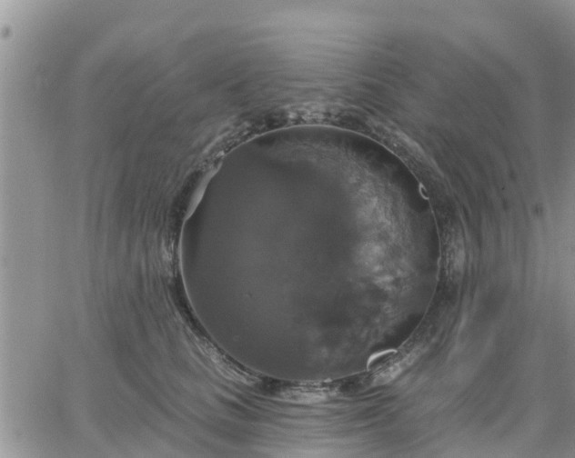 X0000064740661200602171709