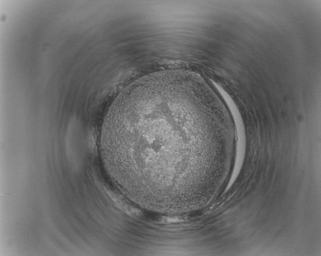 X0000064740662200602171709