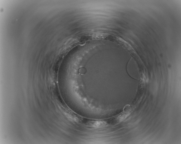 X0000064740663200602171709