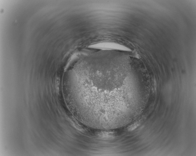 X0000064740664200602171709