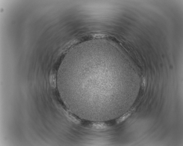 X0000064740666200602171709