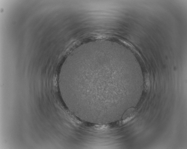 X0000064740667200602171709