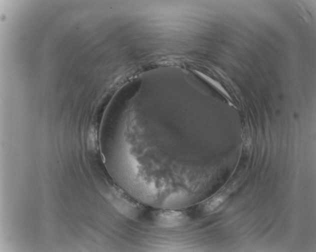 X0000064740669200602171709