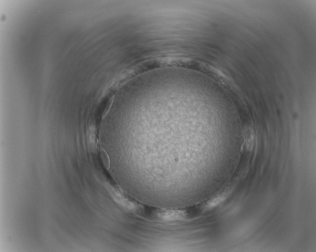 X0000064740670200602171709