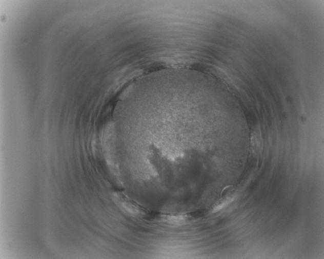 X0000064740671200602171709