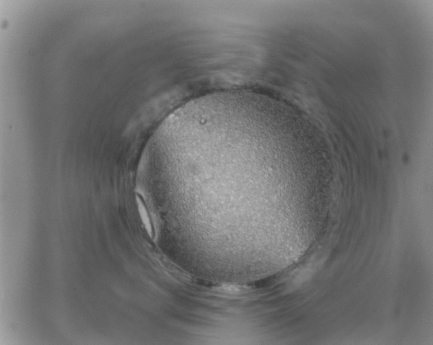 X0000064740672200602171709