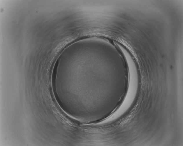 X0000064740673200602171708