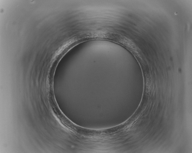 X0000064740674200602171708