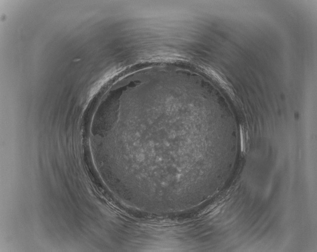 X0000064740675200602171708