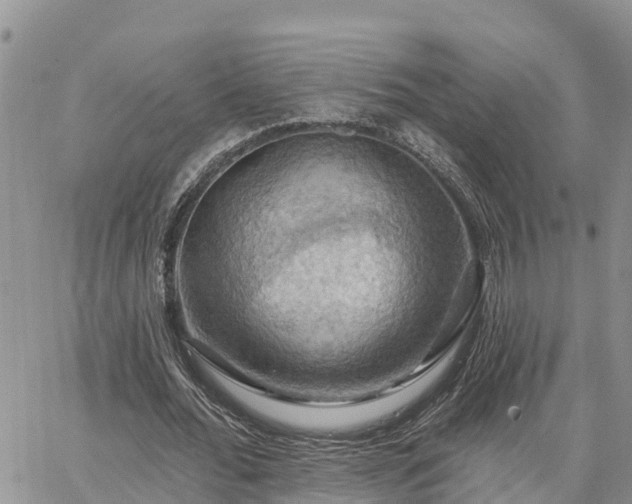 X0000064740676200602171708