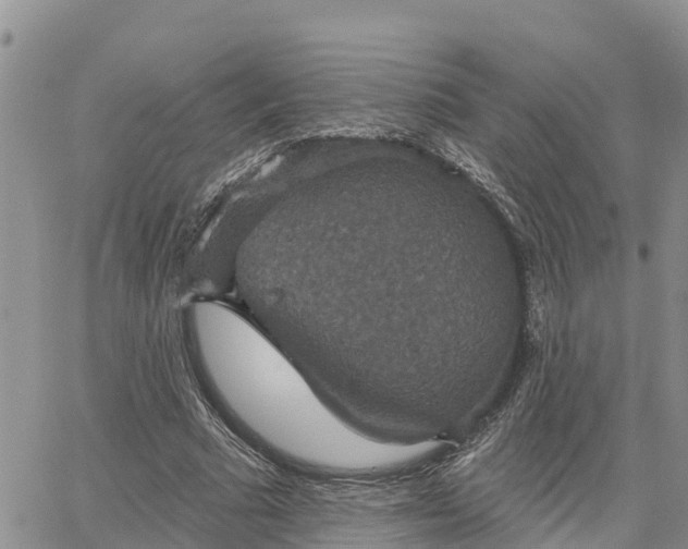 X0000064740681200602171708