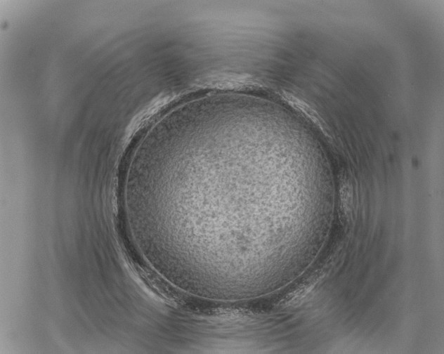 X0000064740682200602171708